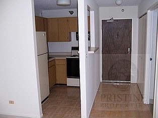 1st image of 1000 N Lasalle St APT 304
