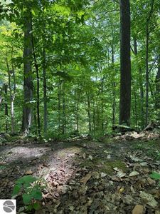716 NW Torch Lake Dr, Kewadin, MI, 49648