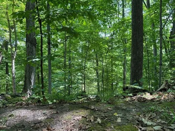 716 NW Torch Lake Dr, Kewadin, MI 49648