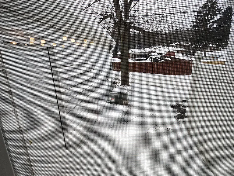 6488 State Rd #7B — Photo 21