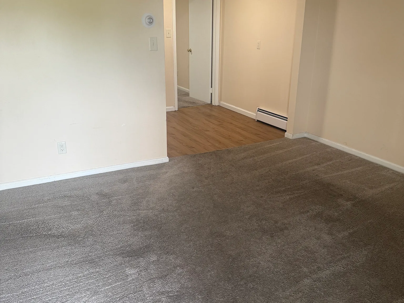 1 bed, $1,300 — Photo 3
