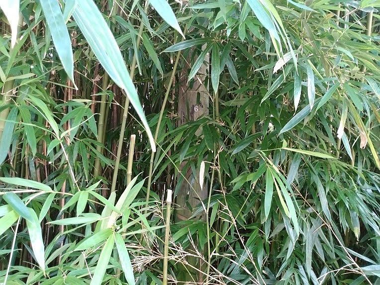2nd image of 12-4284 Kona St #356