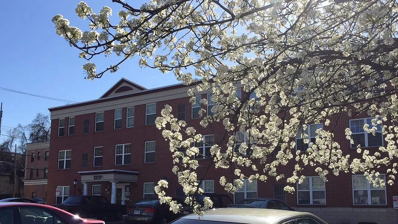 Fifth Avenue Commons — Photo 1