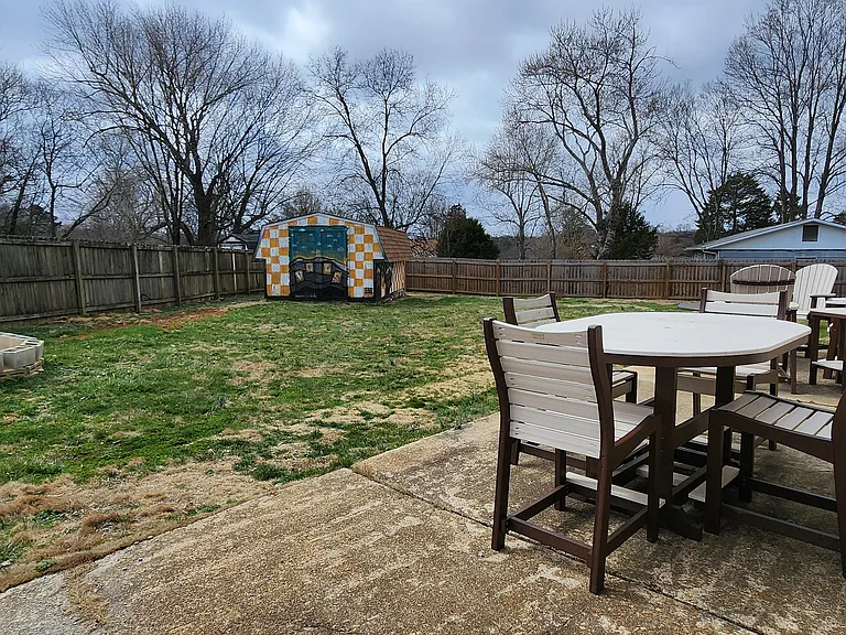 Back Yard