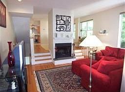 Living room with fireplace