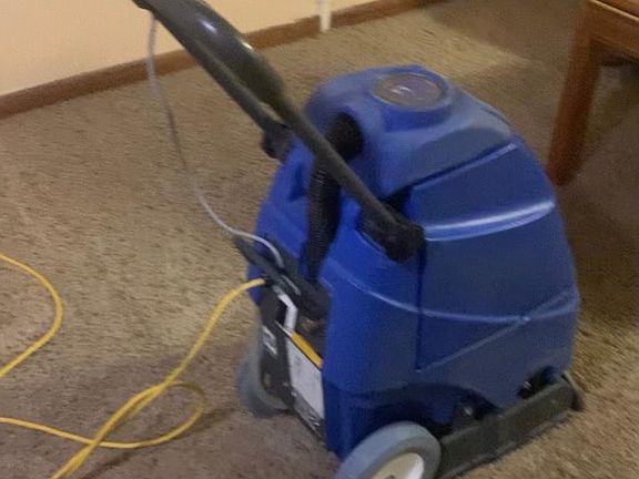 Carpets just cleaned!