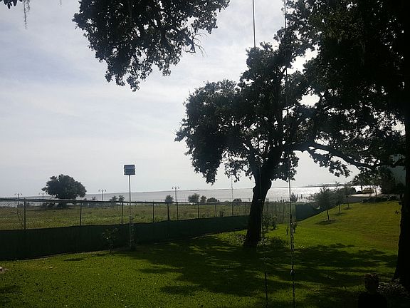 View From Back Porch