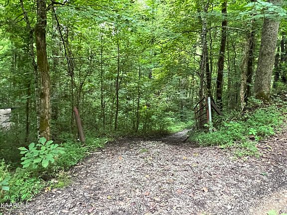 3rd image of Henson Ln