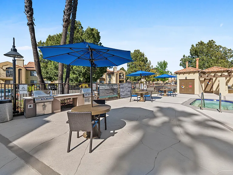 Hot Tub and Grills 2