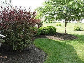 5th image of 2355 Myrtle Valley Dr