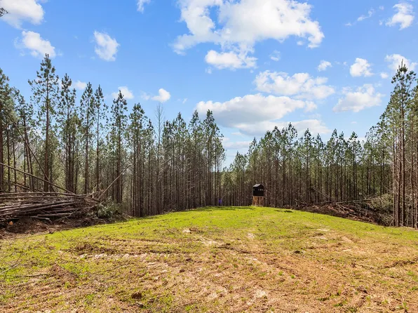 0 Cotton Branch Rd Lot 4, Linden, TN 37096