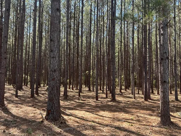 Y Grimes R Grimes Rd, Laurel Hill, FL 32567