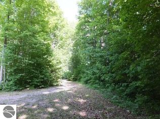 2228 Northwoods Dr, Benzonia, MI 49616