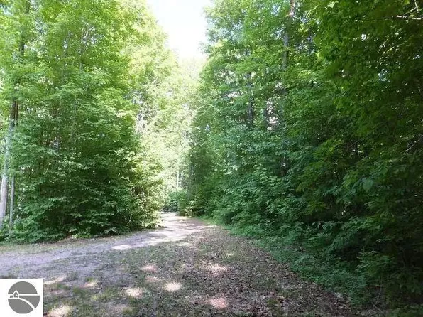 2228 Northwoods Dr, Benzonia, MI 49616