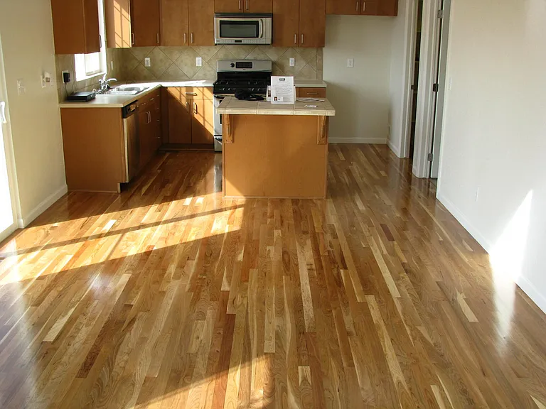 5376 Potentilla St — Photo 3
