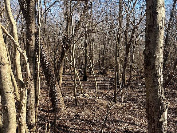 3rd image of 0 E Greene County Rd #954