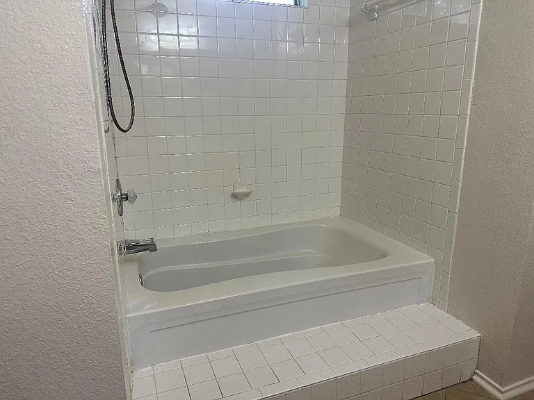 Master bath tub & shower combo