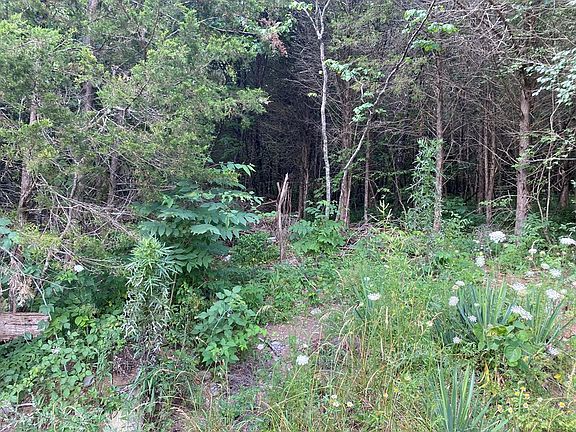 5th image of Martin Farm Rd