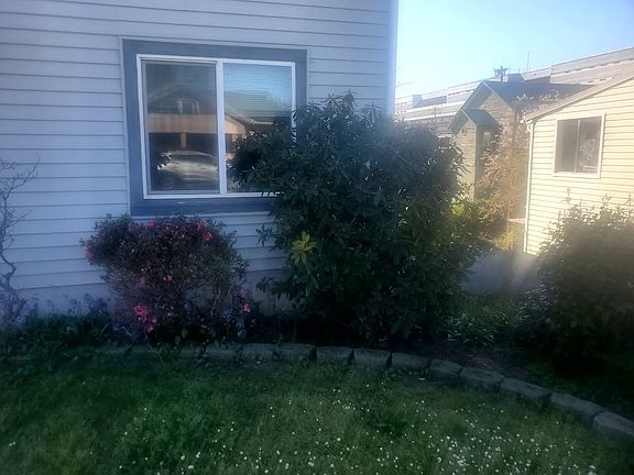 Right view next to home in yard.