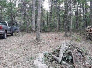 3137 S Princeton Way Ave, Baldwin, MI 49304