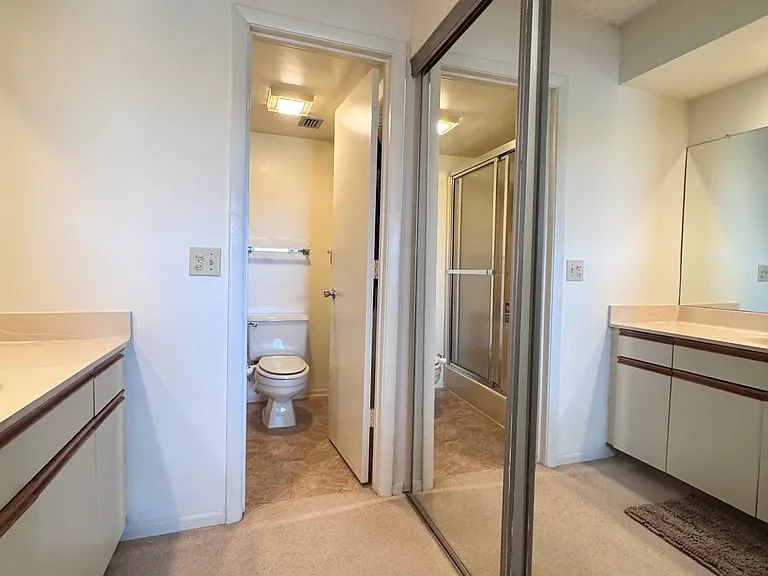 Primary Bathroom w/ HUGE walk-in closet!