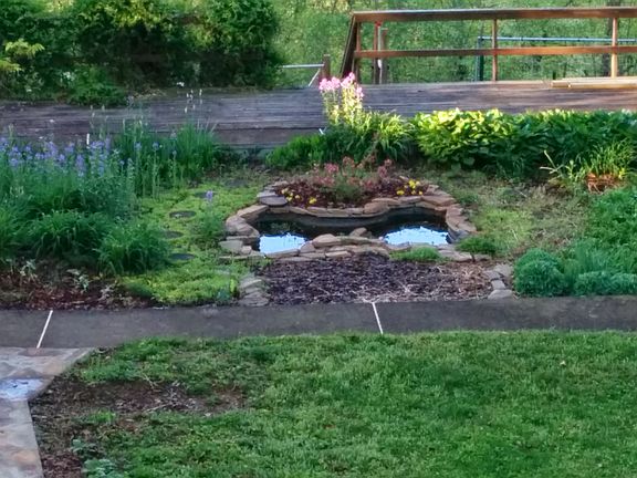 Pond in Sun Garden