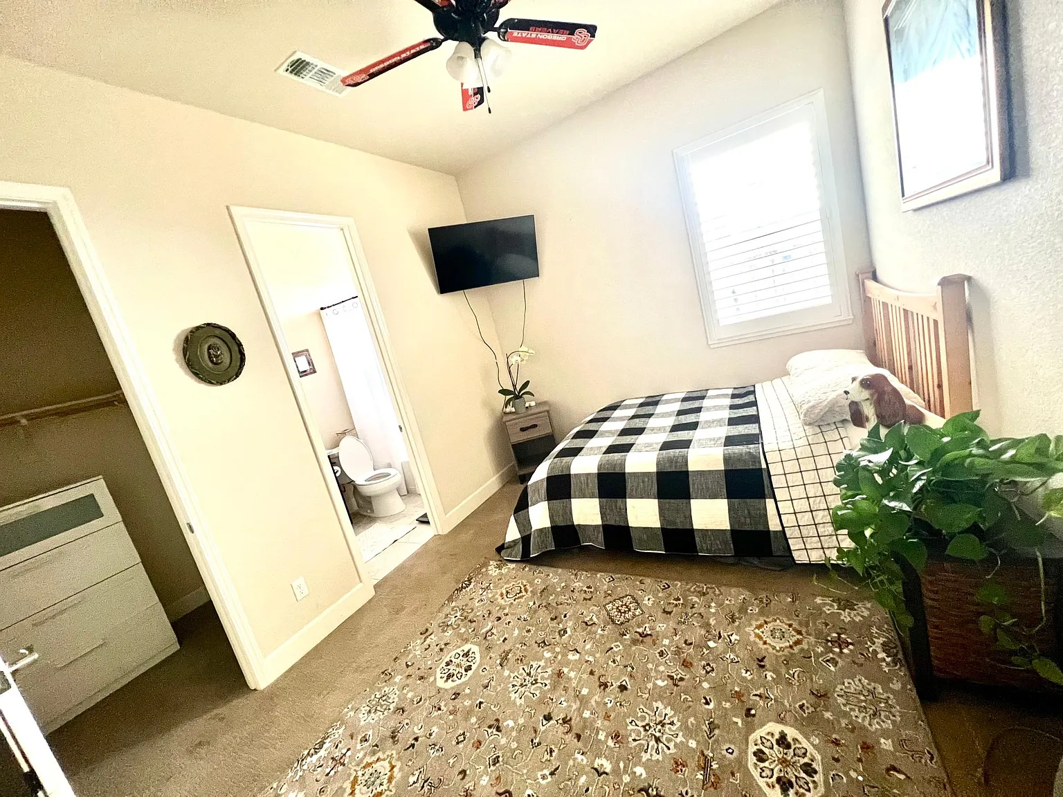 815 Painted Shore Ct — Photo 1