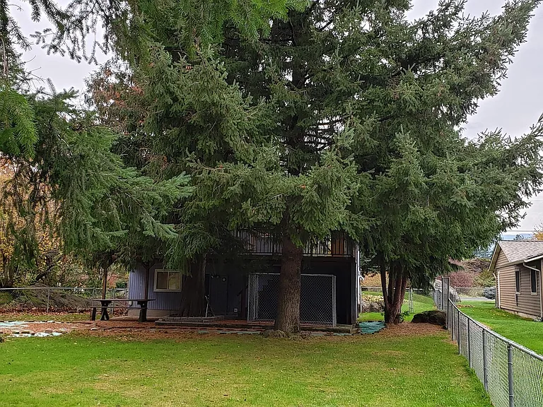 view of the house from back yard