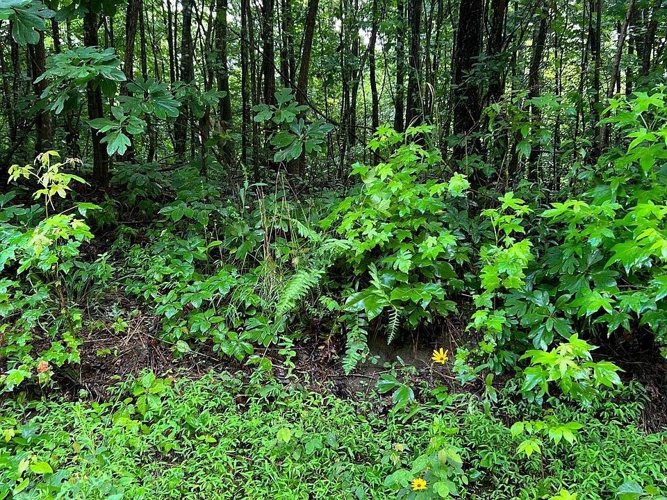 1st image of 33AC Loudermilk Dr