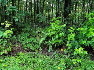 33AC Loudermilk Dr, Henagar, AL 35978