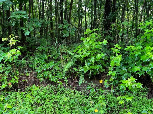 33AC Loudermilk Dr, Henagar, AL 35978
