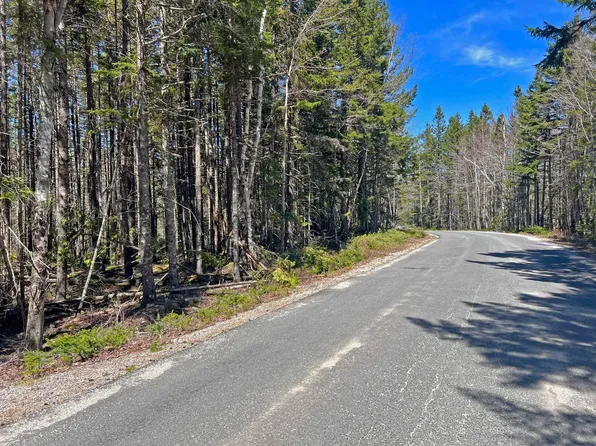 Lot 1 Peninsula Road, Gouldsboro, ME 04607