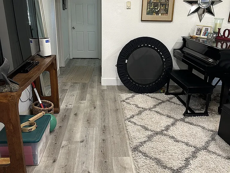 Hallway with bathroom on the left and extra closet on the right.