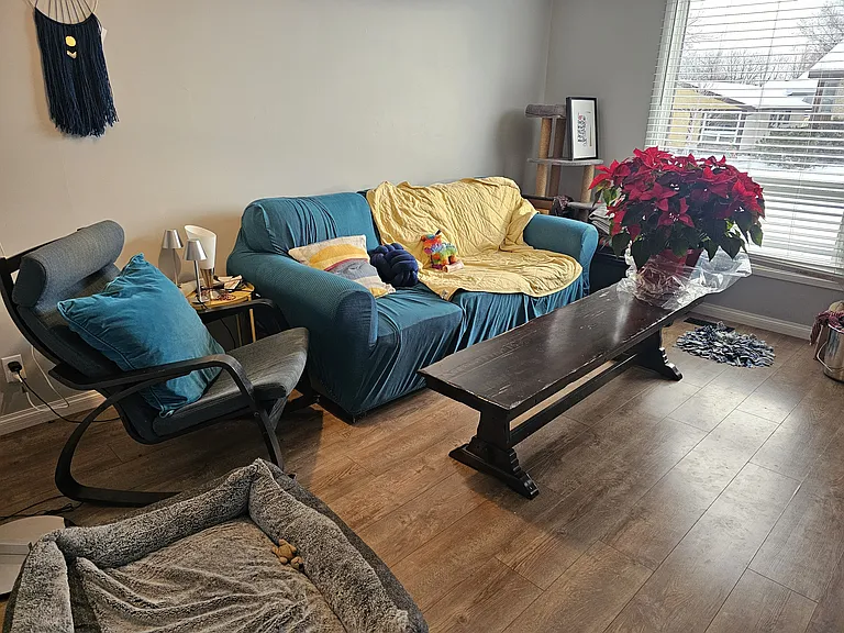 Shared Living area