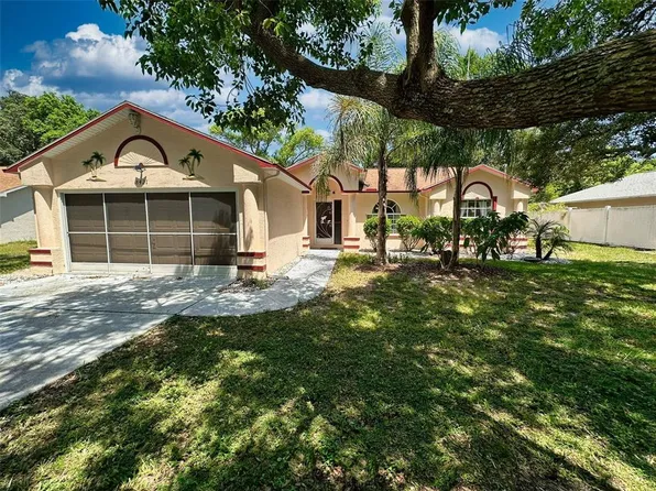 8421 PEORIA STREET, SPRING HILL, FL 34608