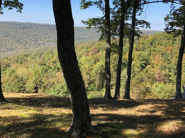 2822 Keith Springs Mountain Rd, Belvidere, TN 37306