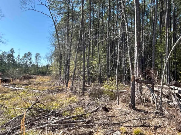 1 W Dallas County Line #20, Sparkman, AR 71763