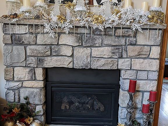 Propane insert