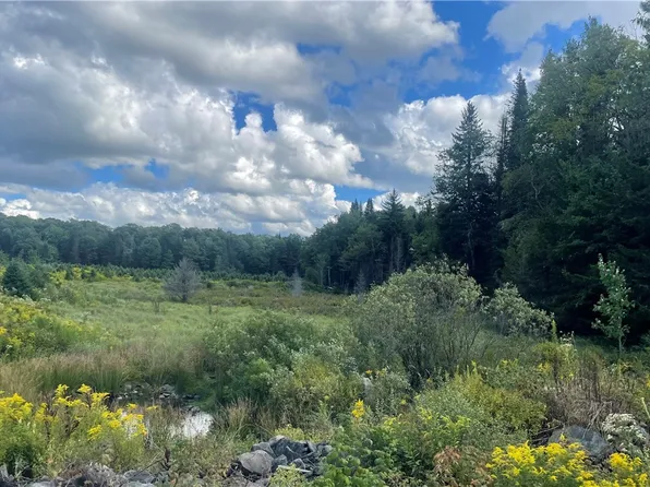 0 Beecher Rd #26, Constableville, NY 13325