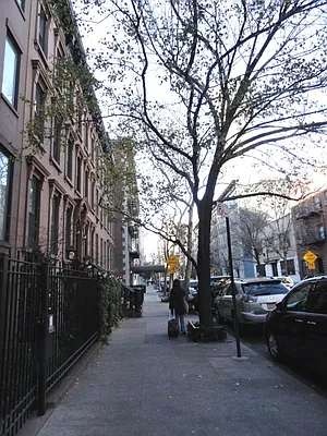 Rented by Prince Real Estate Associates LLC | media 18