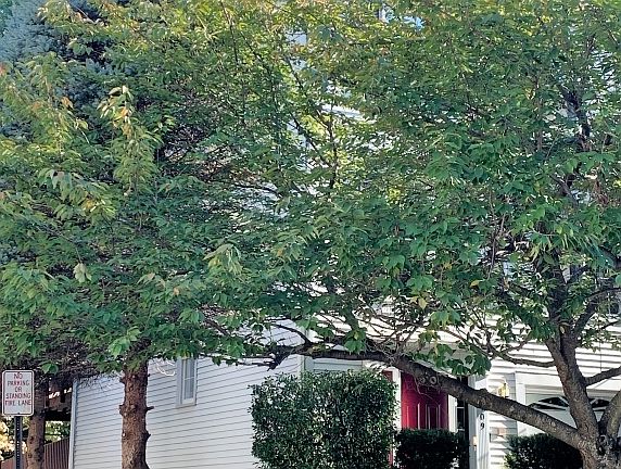 2nd image of 3109 Sutherland Hill Ct