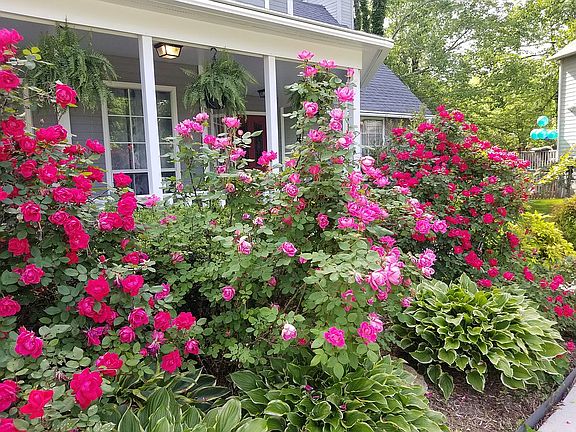 2nd image of 1701 Claire Stevens Cir