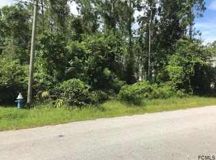 100 Slumber Meadow Trl, Palm Coast, FL 32164