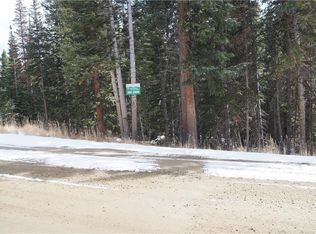 192 Kimmes Ln, Breckenridge, CO 80424