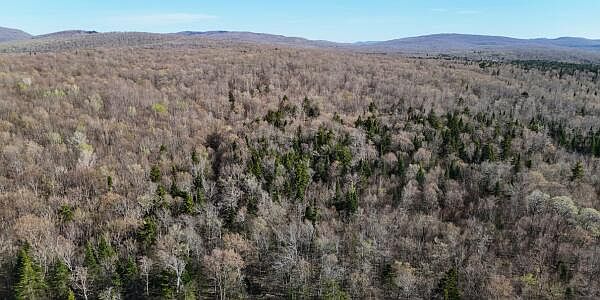 1st image of 0 E Pinnacle Rd W