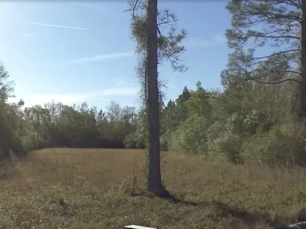 1 Be Thomas Rd, Nahunta, GA 31553