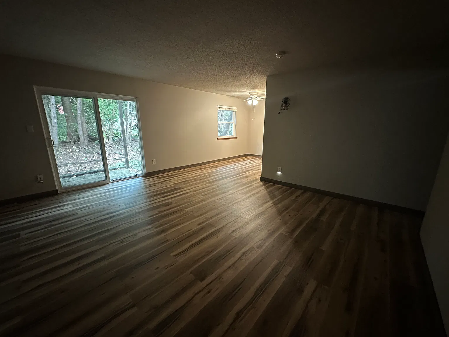 2 bed, 900 sqft, $1,250 — Photo 3