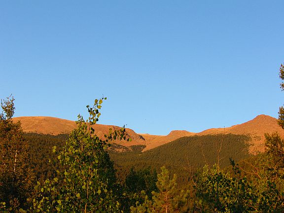 view from living room east