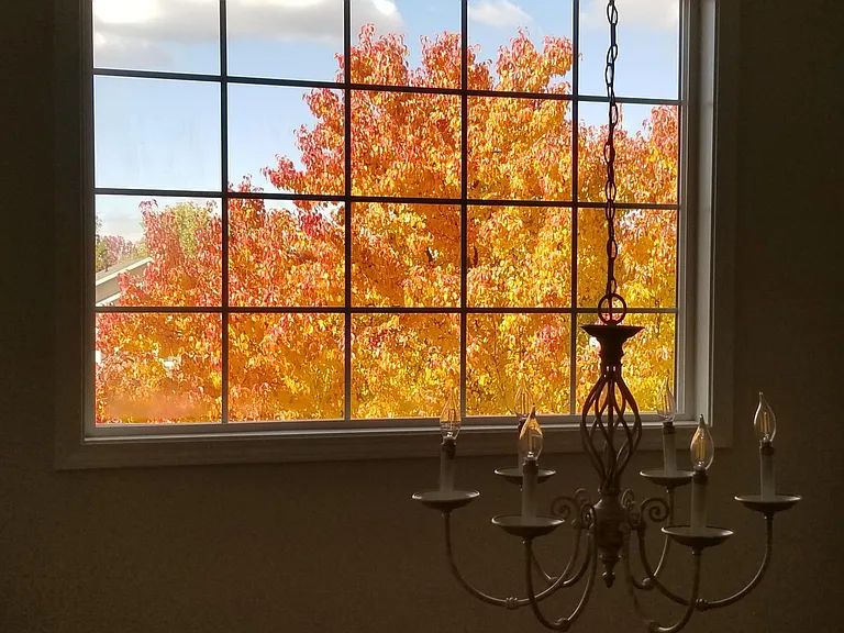 Beautiful view from second floor out entry window!