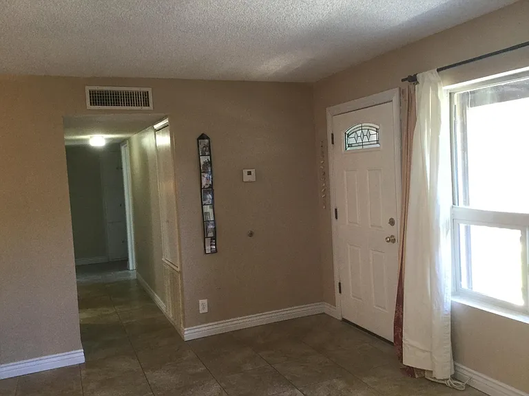 Living room entry door